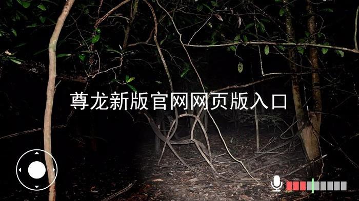 尊龙新版官网网页版入口