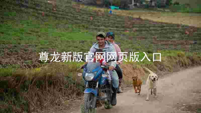 尊龙新版官网网页版入口