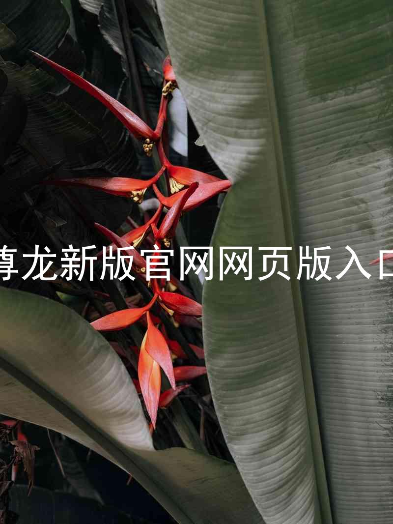 尊龙新版官网网页版入口